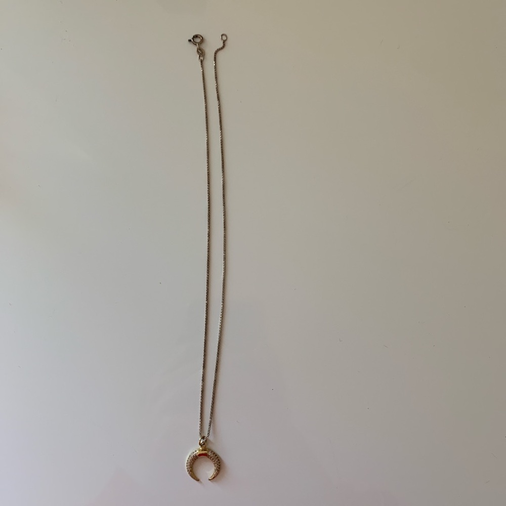 Bull horns necklace
